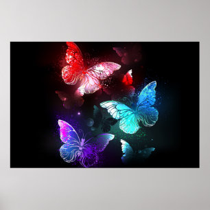 Poster Three Glowing Butterflies on night background