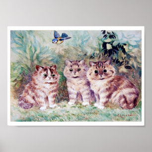 Poster Three Kittens