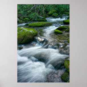 Poster Thunderhead Prong 16