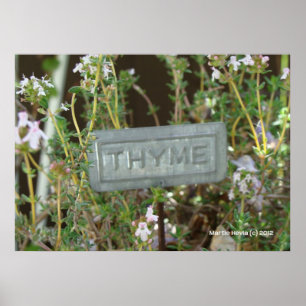 Poster Thyme