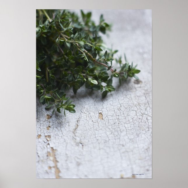 Poster Thyme sur une vieille table en bois (Devant)