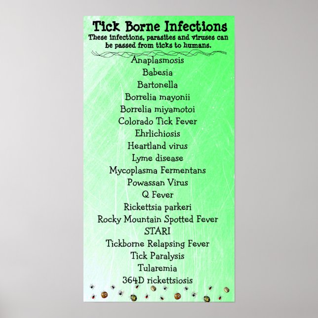 Poster Tick Borne Infection list Lyme Sensibilisation Pos (Devant)