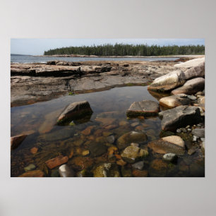 Poster Tidepool au pays des merveilles dans le parc natio