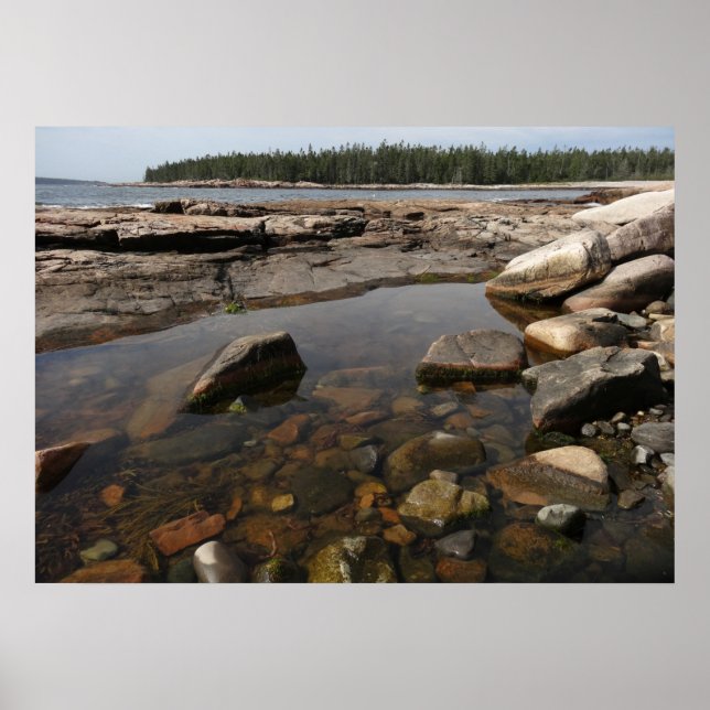 Poster Tidepool au pays des merveilles dans le parc natio (Devant)
