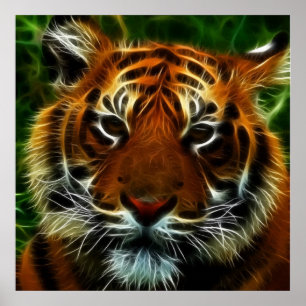 POSTER TIGER