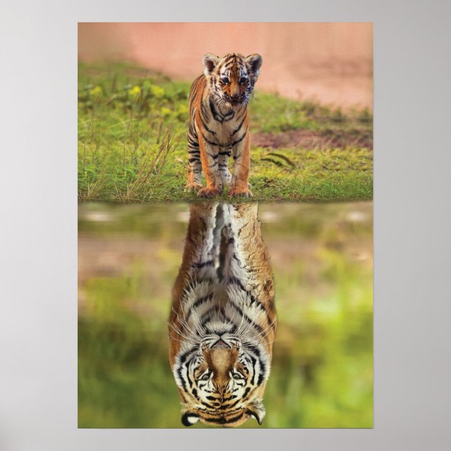 Poster Tiger Cub - Mindset - Réflexion de l'eau - Succès (Devant)