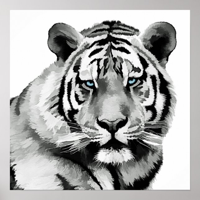 Poster Tiger Noir et Blanc Bleu yeux (Devant)