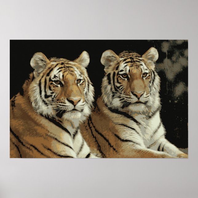 Poster Tiger Twins (Devant)
