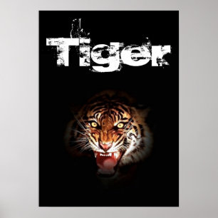 Poster Tigre