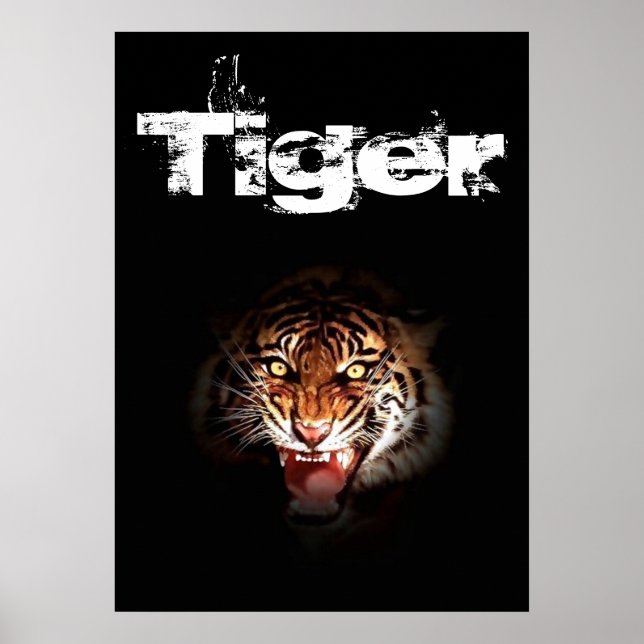 Poster Tigre (Devant)