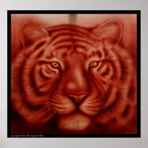 Poster Tigre