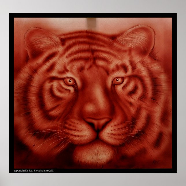 Poster Tigre (Devant)