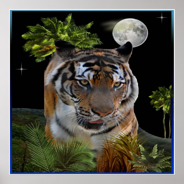 Poster Tigre (Devant)