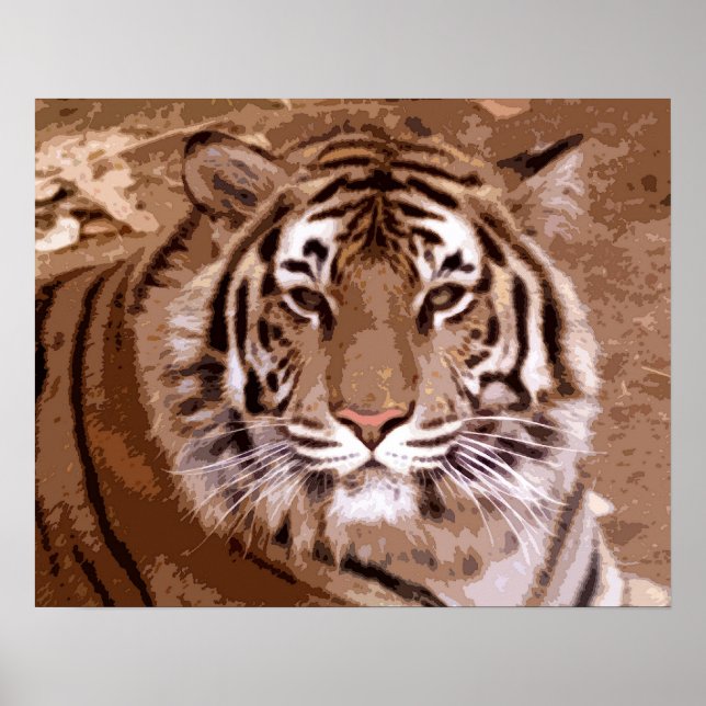 Poster Tigre (Devant)