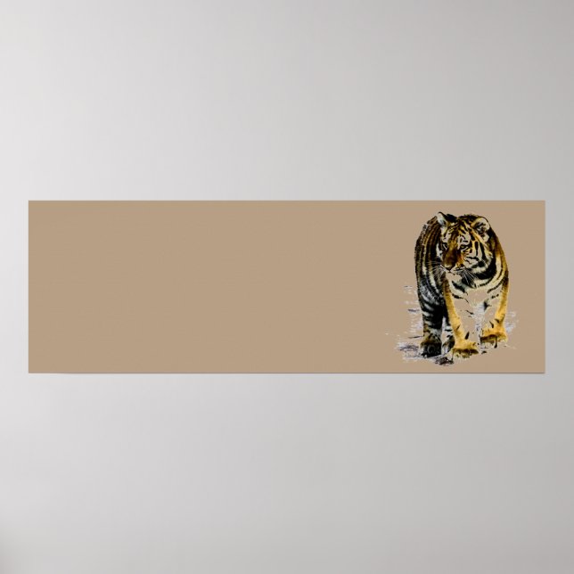 Poster Tigre (Devant)