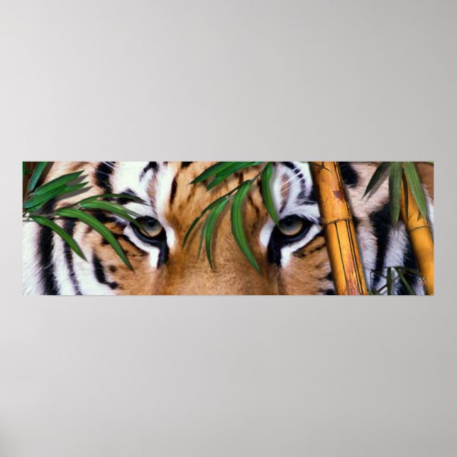 Poster tigre (Devant)