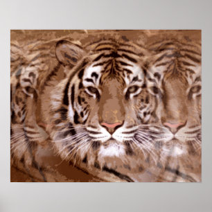 Poster Tigre
