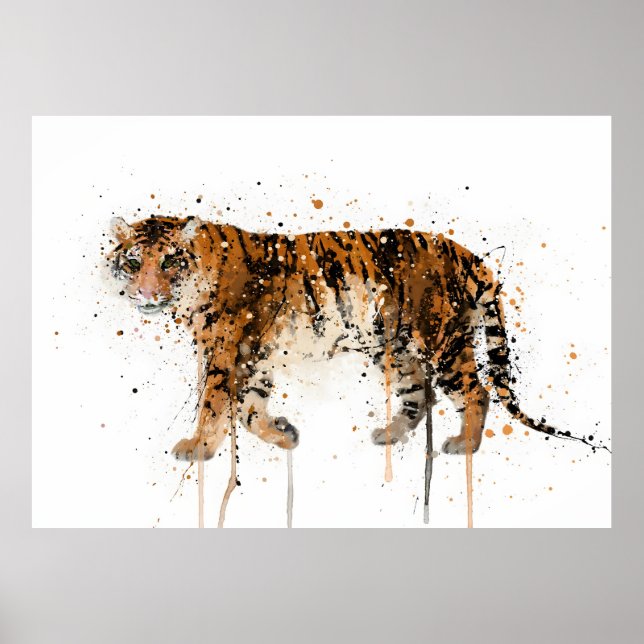 Poster Tigre (Devant)