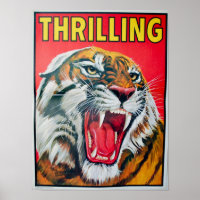 Tigre