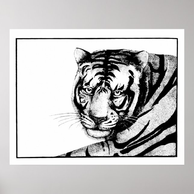 Poster Tigre (Devant)