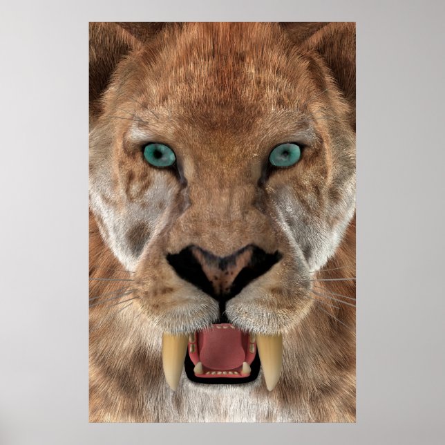 Poster Tigre à dents de sabre ou Smilodon (Devant)