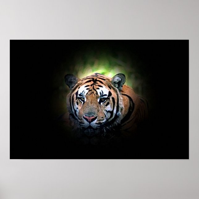 Poster Tigre - Big Cat sauvage (Devant)