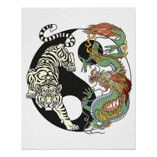 Poster Tigre blanc contre dragon vert dans le Yin yang p