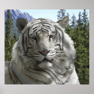 Poster TIGRE BLANC dans son habitat forestier