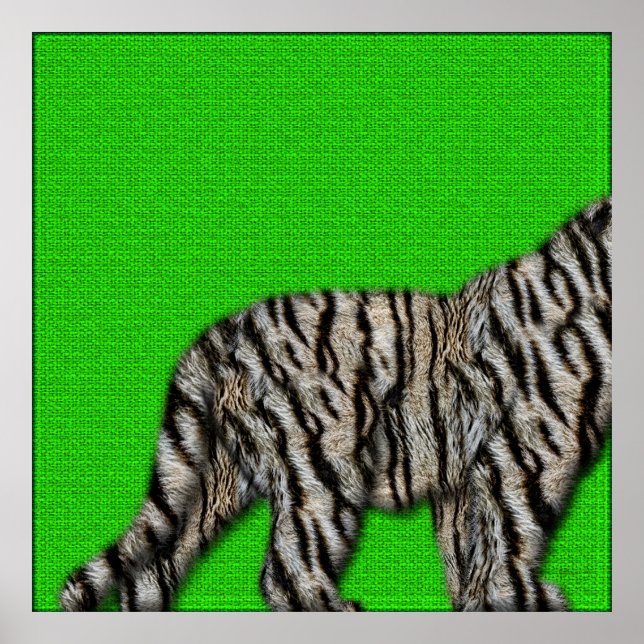 Poster Tigre blanc du Bengale : fond de fureur sur vert (Devant)