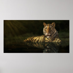 Poster Tigre dans l'eau peinture numérique