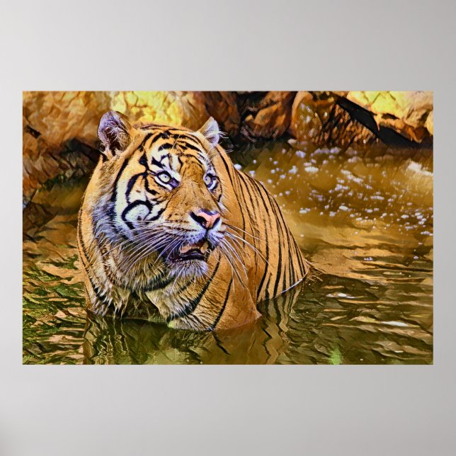 Poster Tigre de Sumatra en peinture sur eau (Devant)