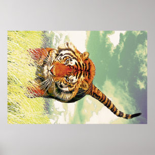 Poster Tigre de tigre !