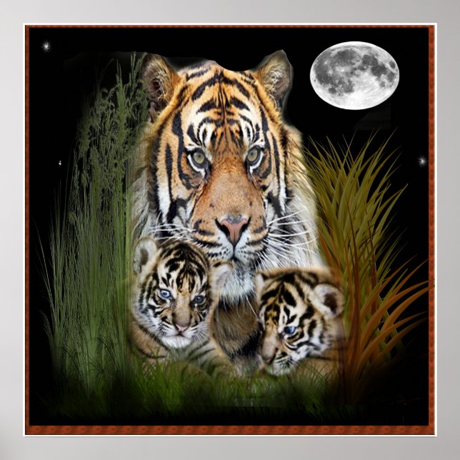 Poster tigre et petits (Devant)