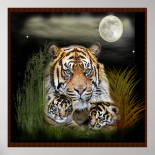 Poster Tigre et petits