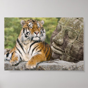 Poster Tigre et temple bouddhiste