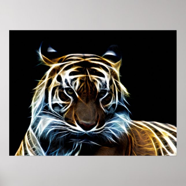 Poster Tigre fractal (Devant)