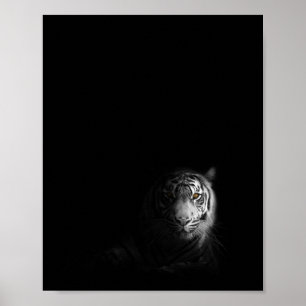 Poster Tigre, noir et blanc,