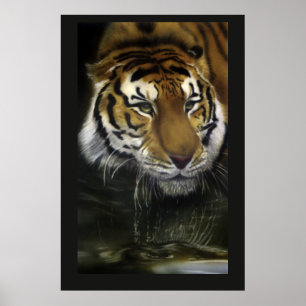 Poster Tigre potable