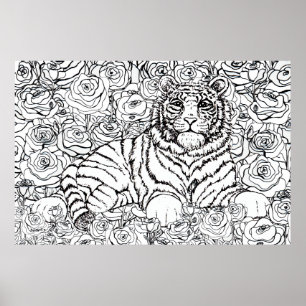 Poster Tigre sage