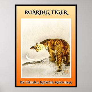 Poster Tigre torride