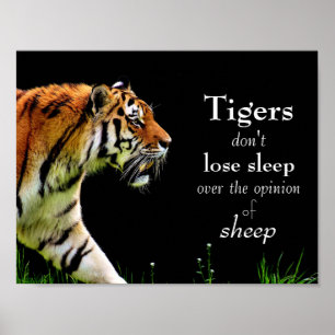 Poster Tigres // Motivationnel