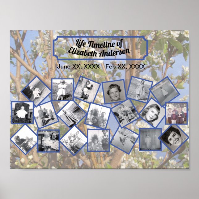 Poster Timeline Photo Collage on White Blossom Tree (Devant)