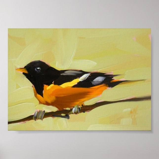 Poster tirage d'oriole baltimore 5 x 7 pouces (Devant)