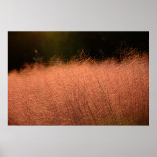 Poster Tirage photo 24×16 Corée du Sud Muhly rose Jeju-do