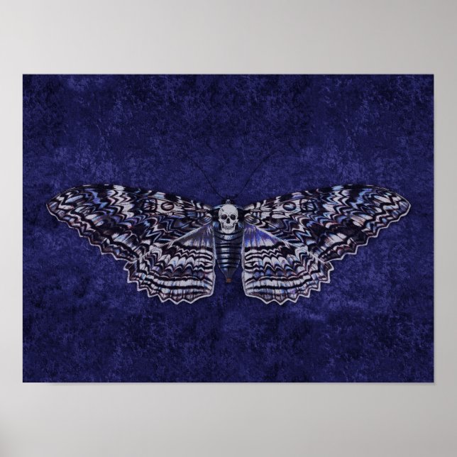 Poster Tiré Moth (Devant)