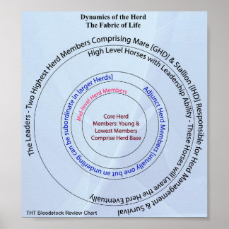 Poster Tissu dynamique du troupeau de vie