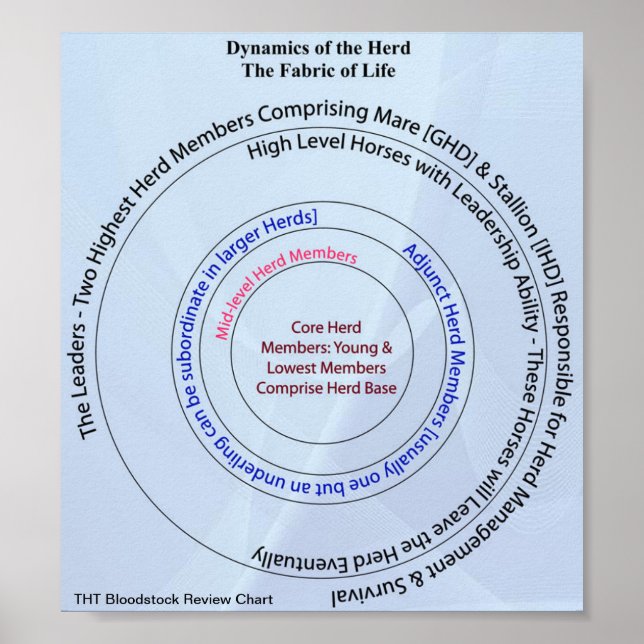 Poster Tissu dynamique du troupeau de vie (Devant)