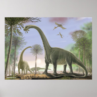 Poster Titanosaure Argentinosaurus