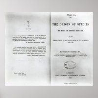 Titre à "Sur l'origine des espèces"
