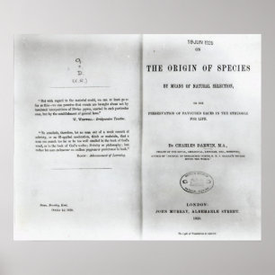 Poster Titre à "Sur l'origine des espèces"